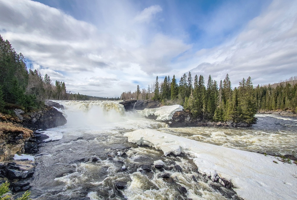Insel im Ristafallet